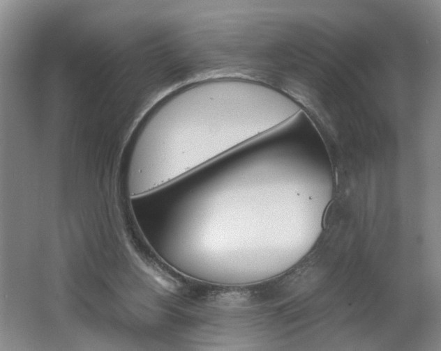 X0000062600156200512210920