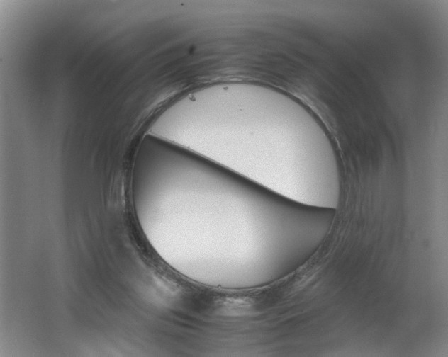 X0000062600157200512210920