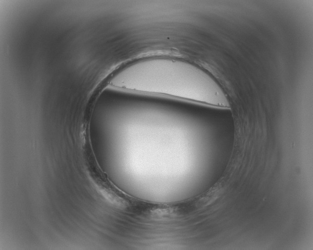 X0000062600160200512210920