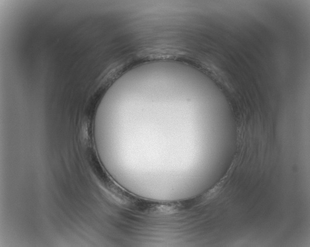 X0000062600166200512210920