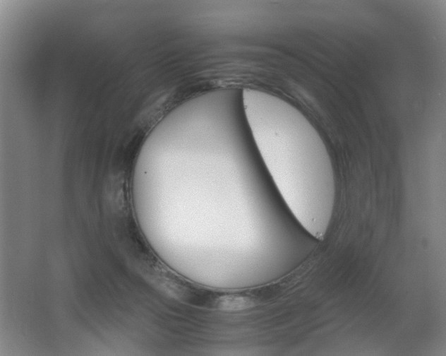 X0000062600169200512210920
