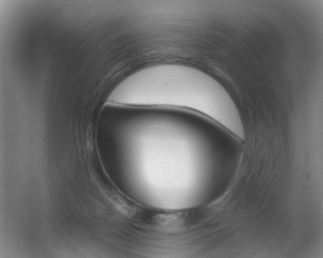 X0000062600170200512210920