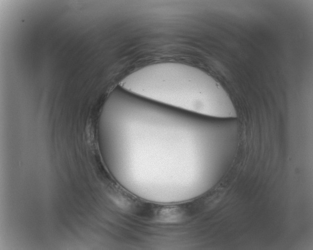 X0000062600173200512210920