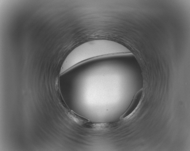 X0000062600192200512210920