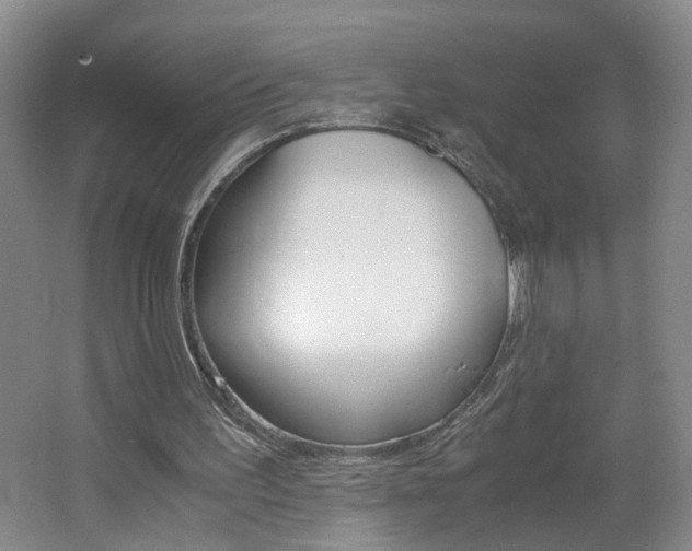 X0000062600195200512210919