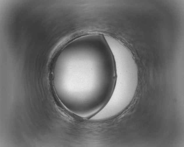 X0000062600197200512210919