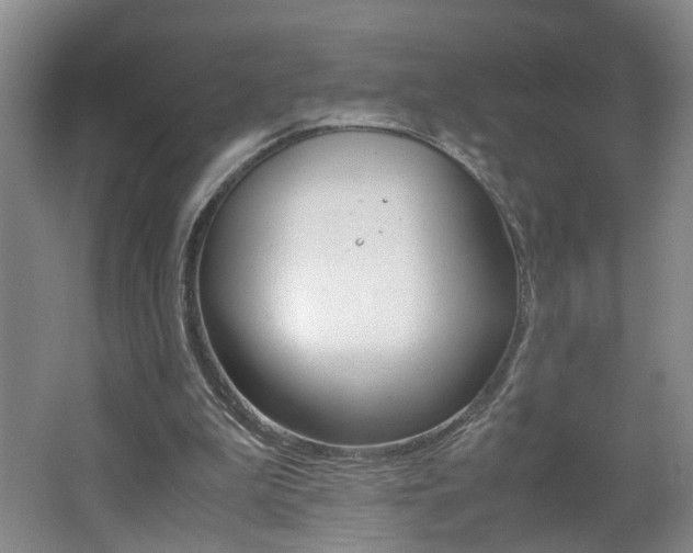 X0000062600199200512210919