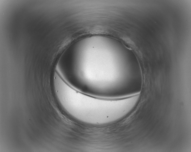 X0000062600201200512210919