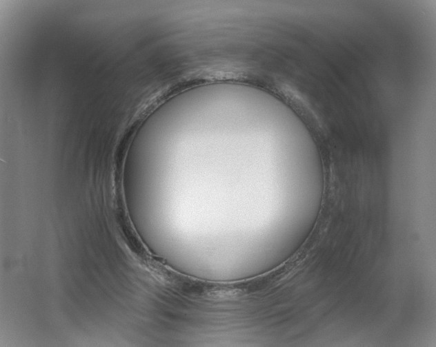 X0000062600202200512210919
