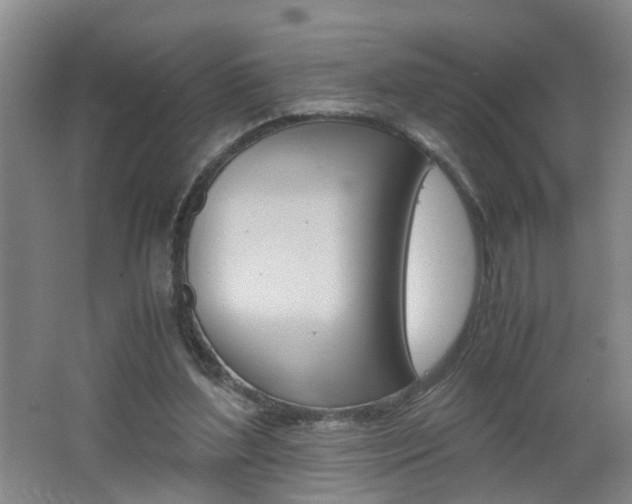 X0000062600204200512210919
