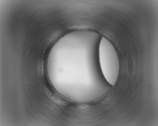 X0000062600206200512210919