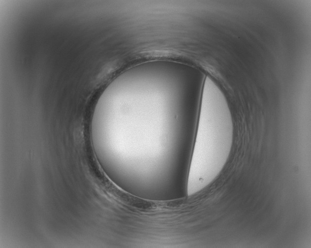X0000062600207200512210919