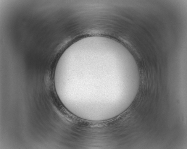 X0000062600208200512210919