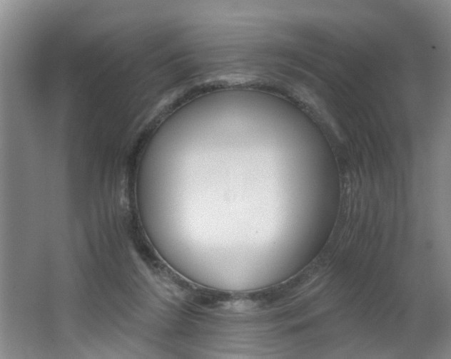 X0000062600212200512210919