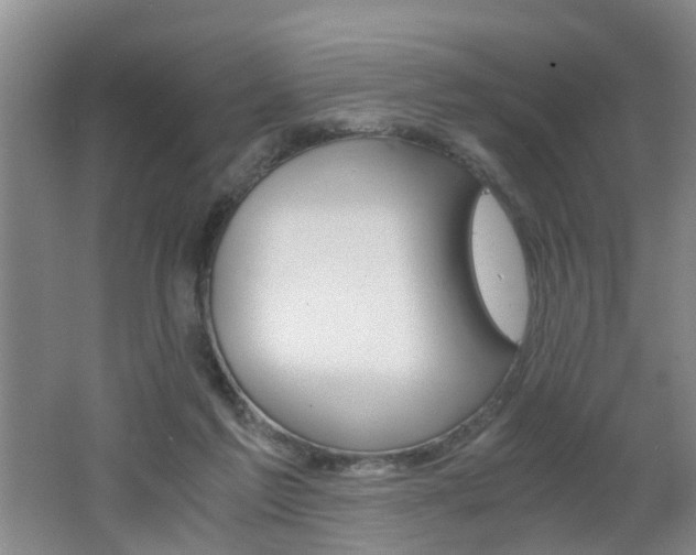 X0000062600213200512210919