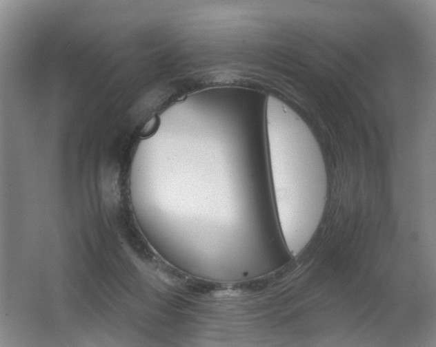 X0000062600216200512210919