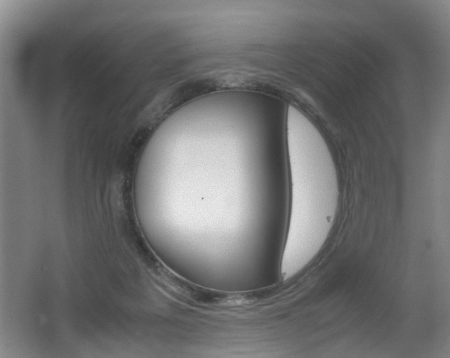 X0000062600217200512210919