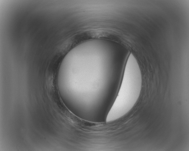 X0000062600219200512210919