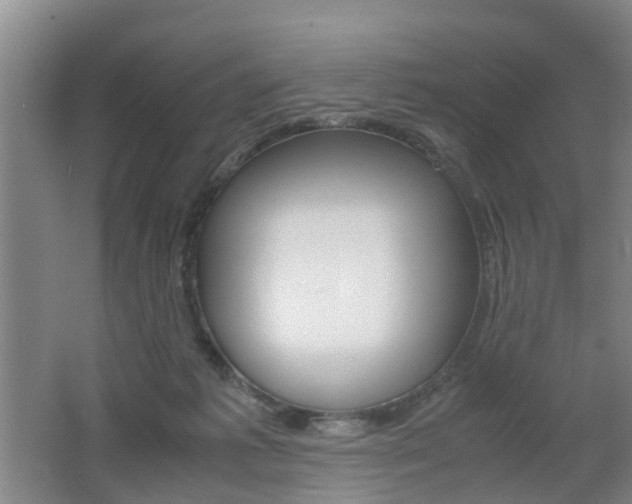 X0000062600221200512210919