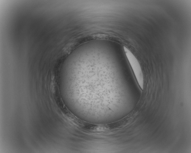 X0000062600223200512210919