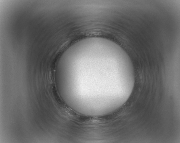 X0000062600224200512210919
