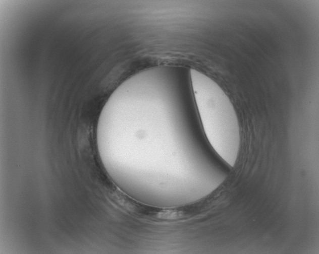 X0000062600225200512210919