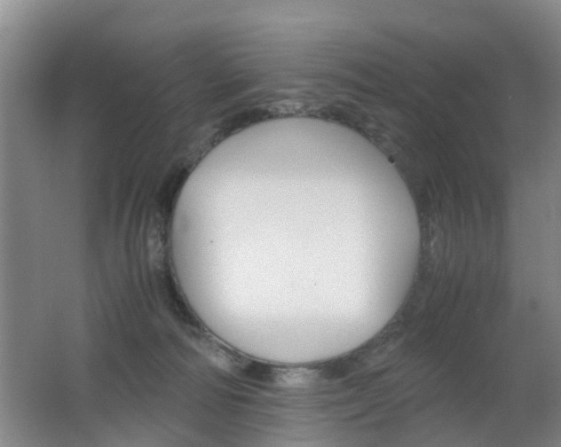X0000062600226200512210919