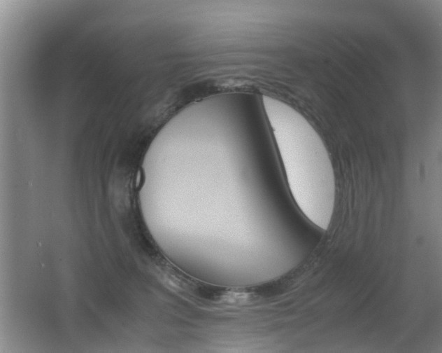 X0000062600227200512210919