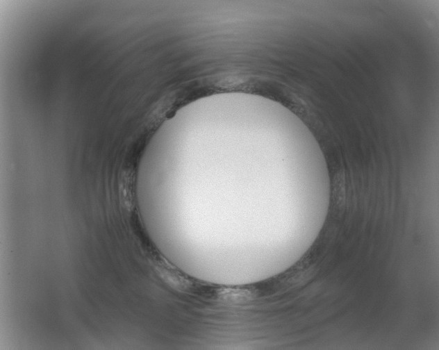 X0000062600234200512210919
