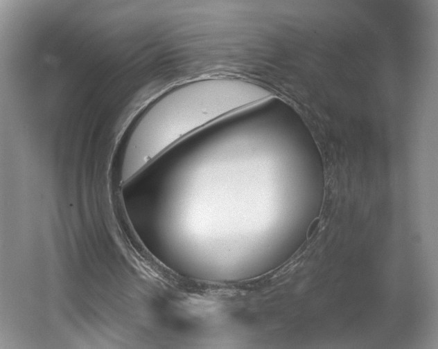 X0000062600242200512210918