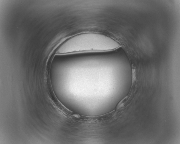 X0000062600243200512210918