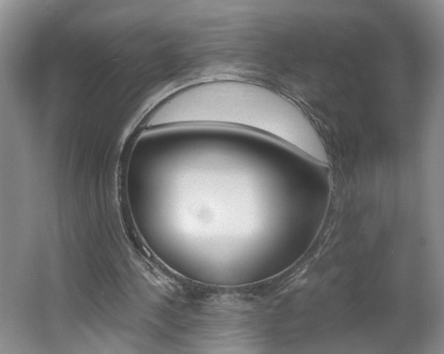 X0000062600244200512210918