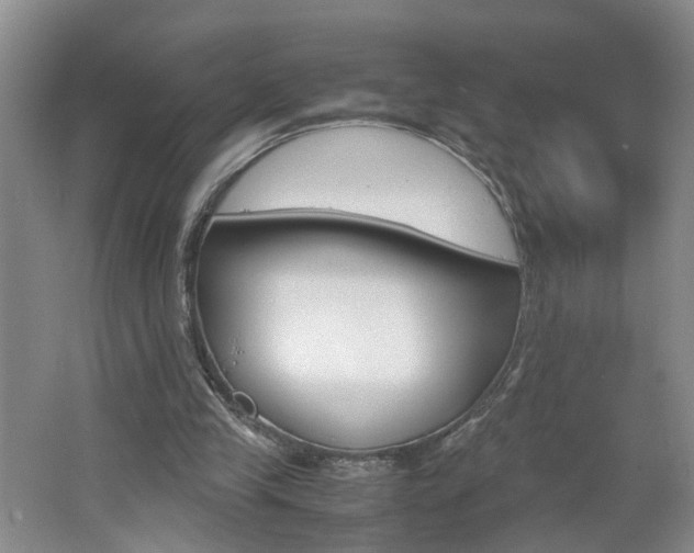 X0000062600245200512210918