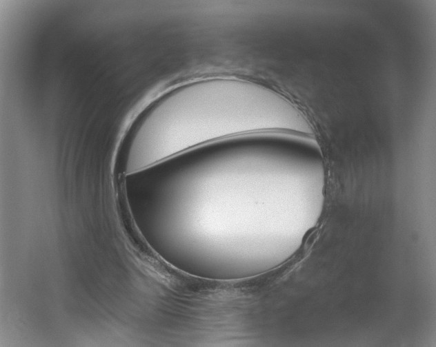 X0000062600246200512210918