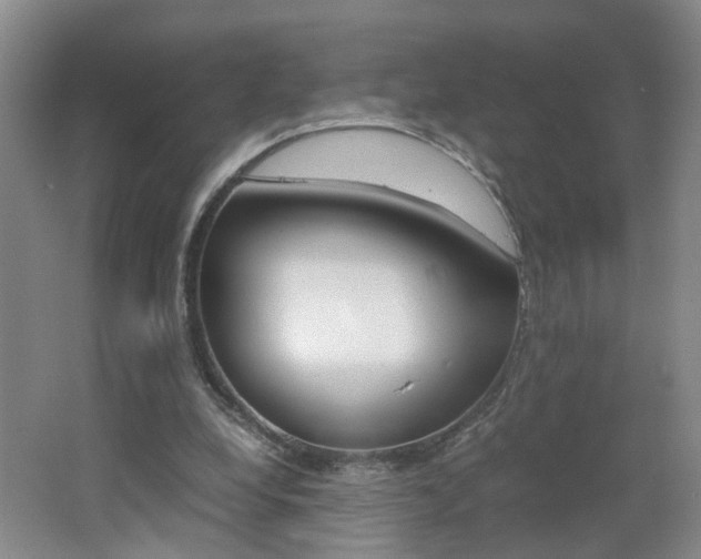 X0000062600248200512210918