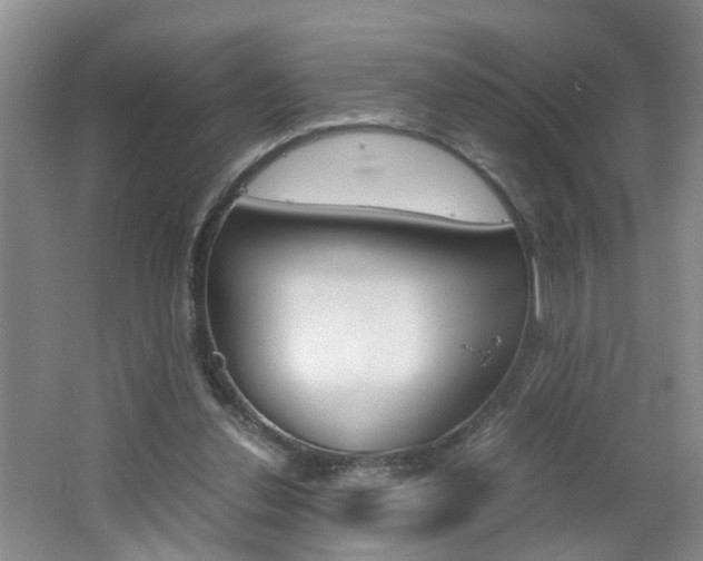 X0000062600252200512210918