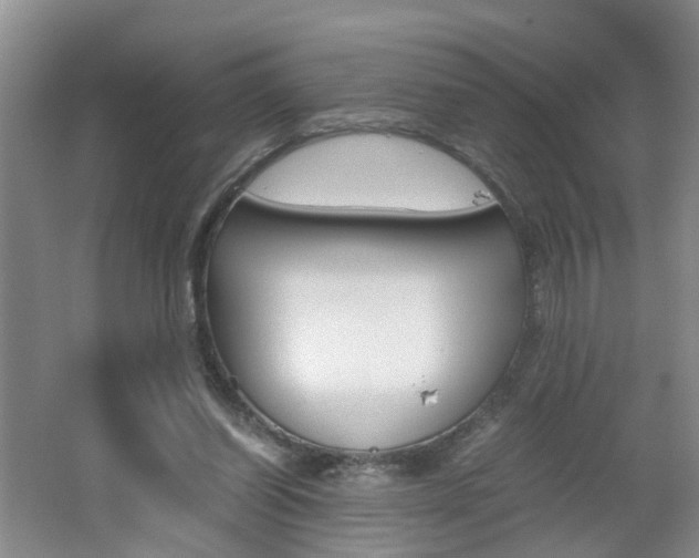 X0000062600254200512210918