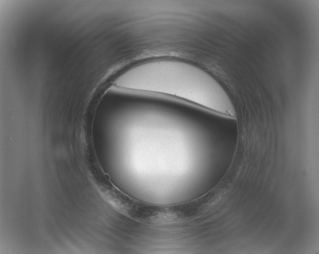 X0000062600256200512210918