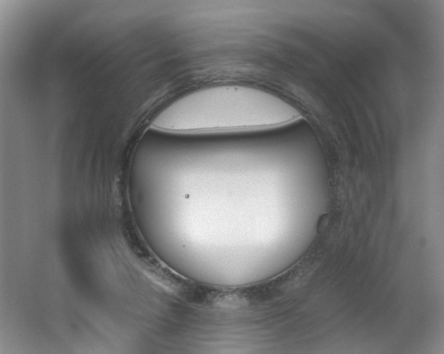 X0000062600258200512210918
