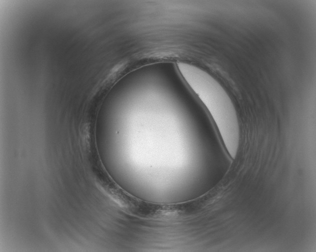 X0000062600260200512210918