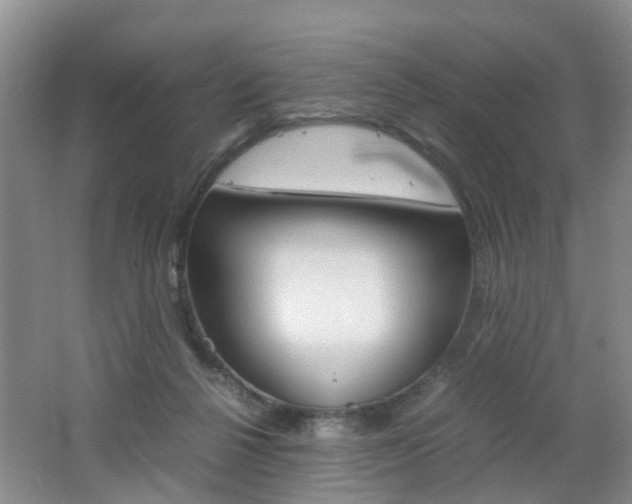X0000062600264200512210918
