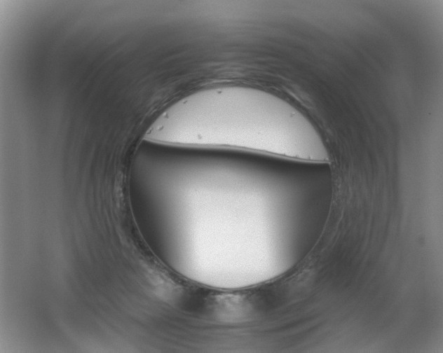 X0000062600265200512210918