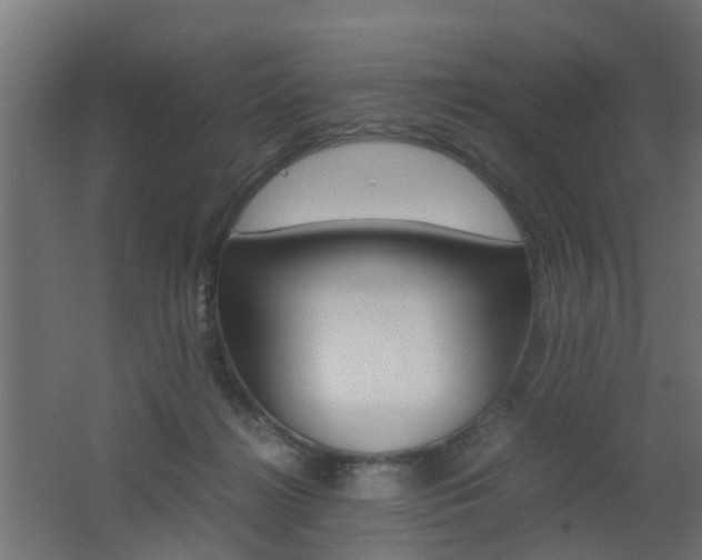 X0000062600268200512210918