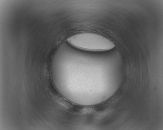X0000062600270200512210918
