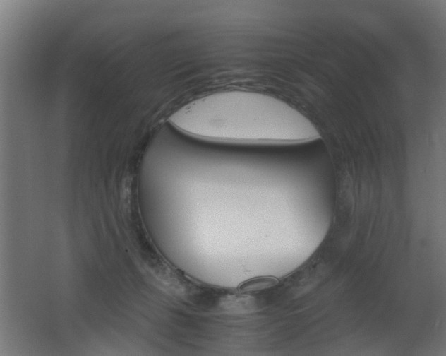 X0000062600271200512210918