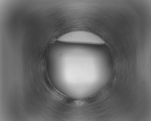 X0000062600272200512210918