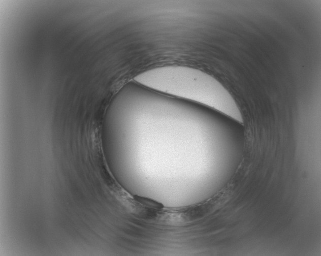 X0000062600276200512210918