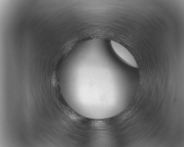 X0000062600287200512210919