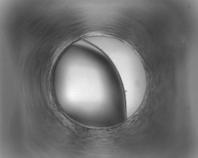 X0000062600289200512210918