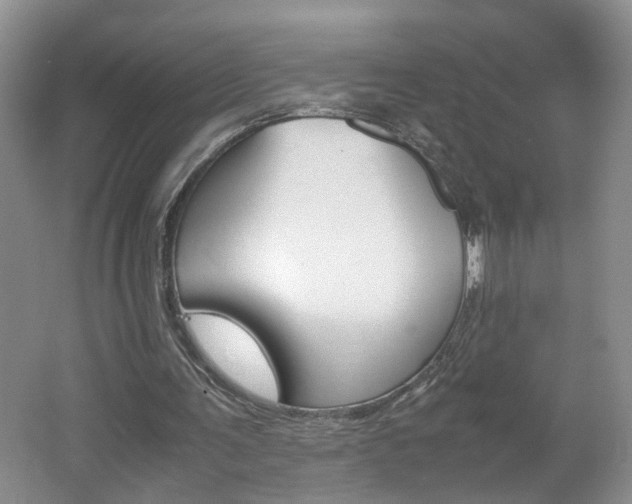 X0000062600291200512210918